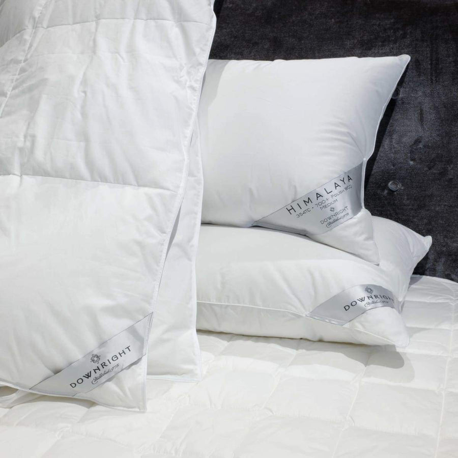 Himalaya Siberian WGD Pillow
