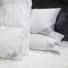 Himalaya Siberian WGD Pillow