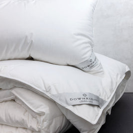 Himalaya Siberian WGD Pillow