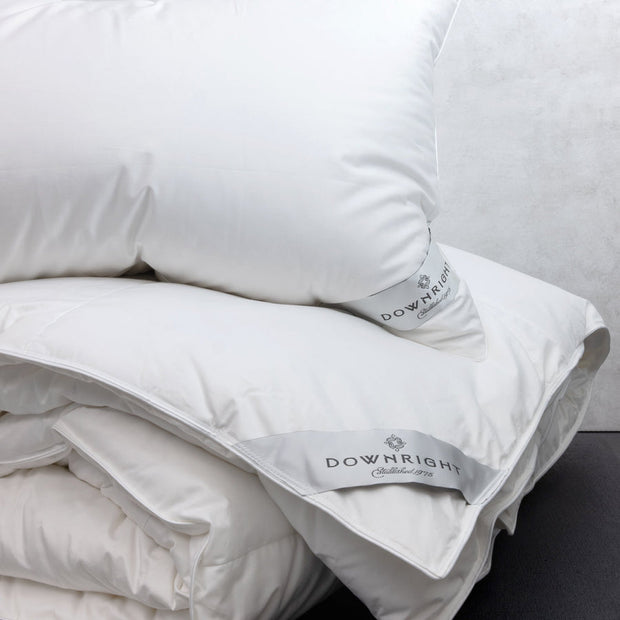 Himalaya Siberian WGD Pillow