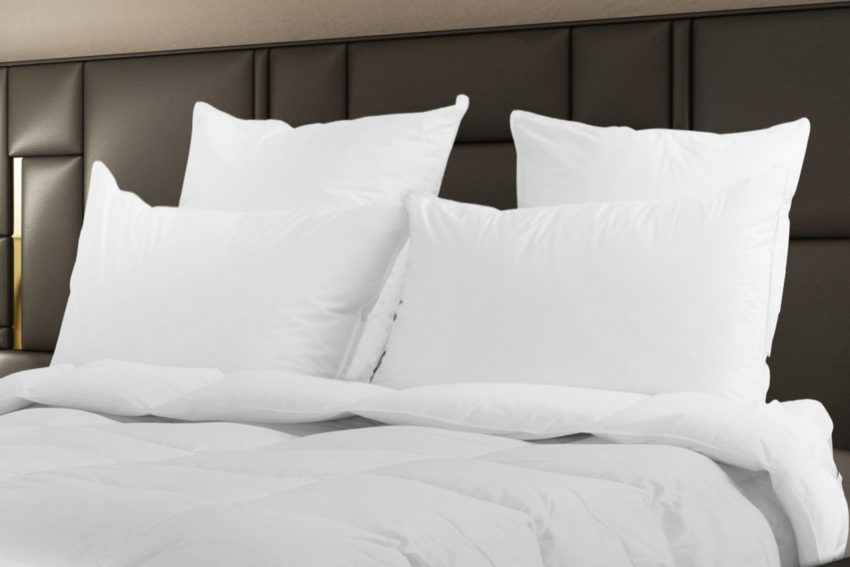 Himalaya Polish WGD Pillow