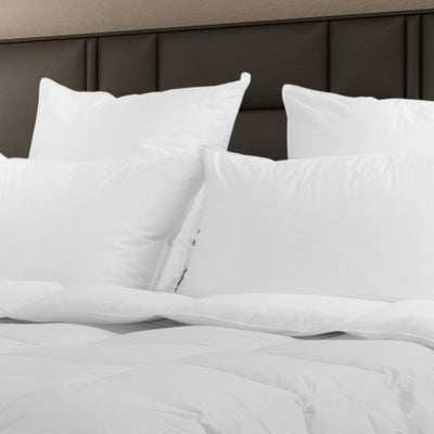 Himalaya Polish WGD Pillow