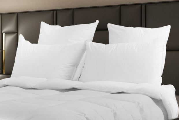 Himalaya Polish WGD Pillow