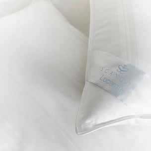 Lucerne Pillows-SQ3280948