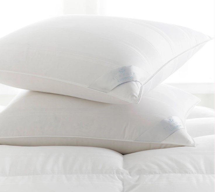 Lucerne Pillows-SQ3280948