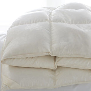 St. Petersburg Comforters-SQ4509772