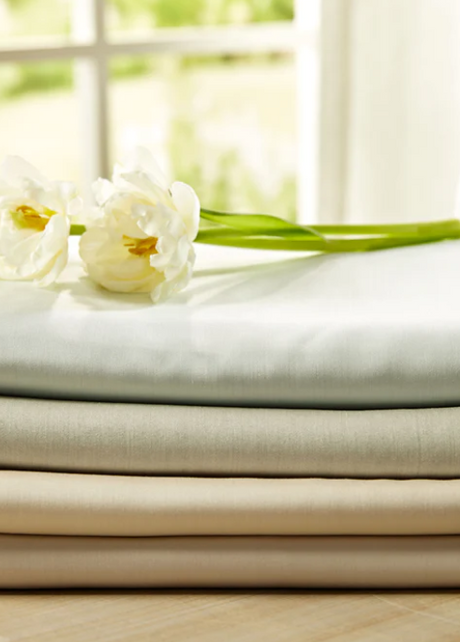 Dahlia by Legna-SQ5603137