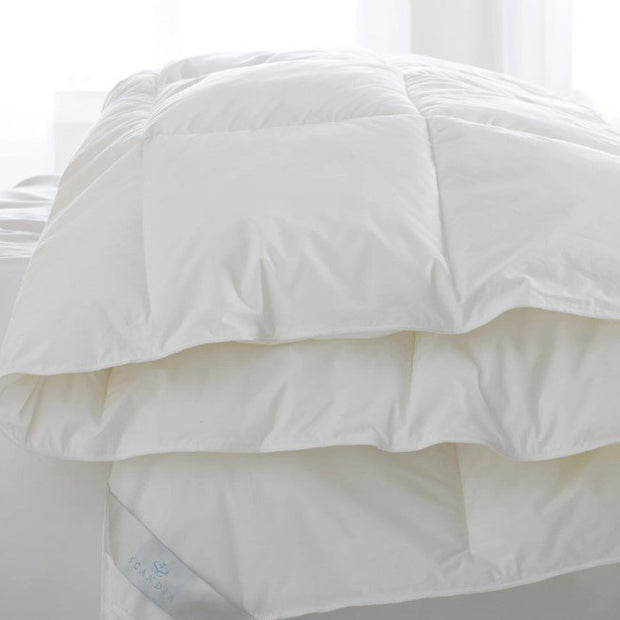 Bergen Down-Free Comforters-SQ0546114