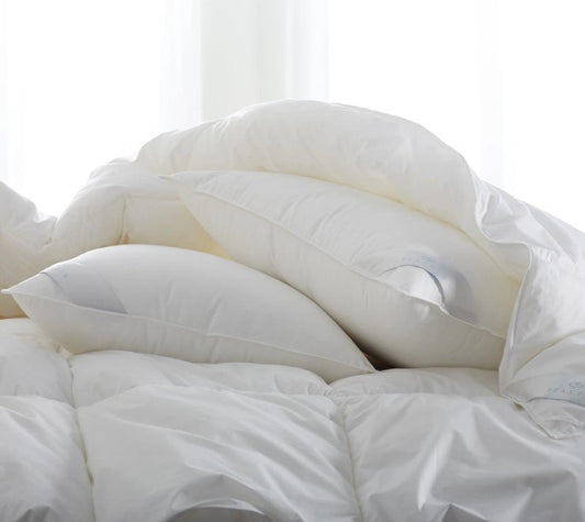 Bergen Down-Free Pillows-SQ2140300