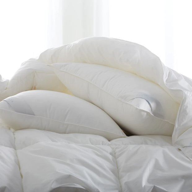 Bergen Down-Free Pillows-SQ2140300