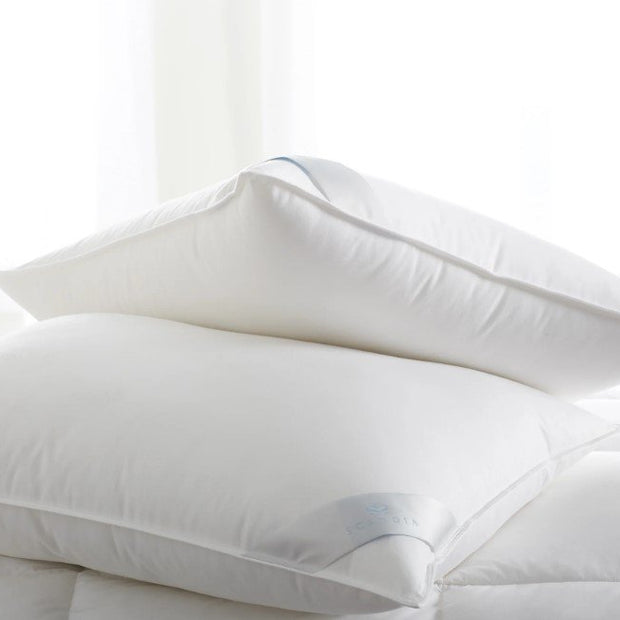 Bergen Down-Free Pillows-SQ2140300