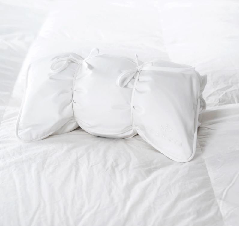 Down Travel Pillow with Cover