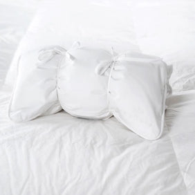 Down Travel Pillow with Cover