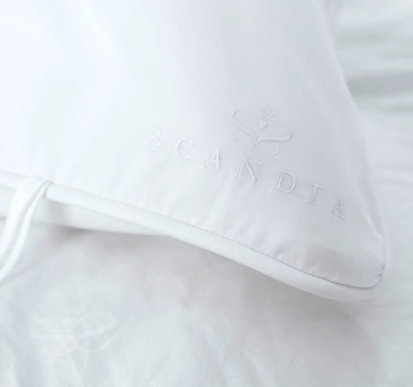 Down Travel Pillow with Cover