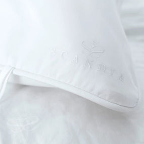 Down Travel Pillow with Cover