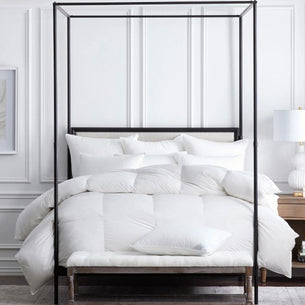 Vienna Comforters-SQ9561284