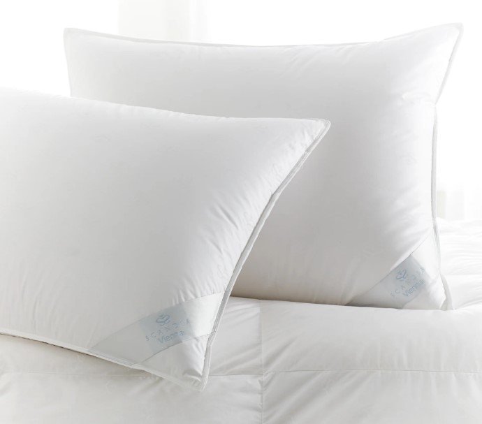 Vienna Comforters-SQ9561284