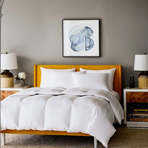Lucerne Comforters-SQ3840848