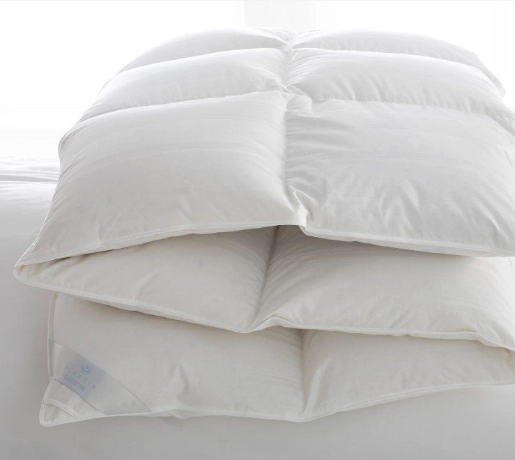 Lucerne Comforters-SQ3840848