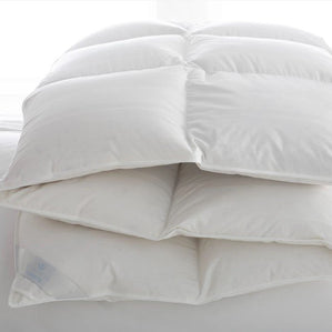 Lucerne Comforters-SQ3840848